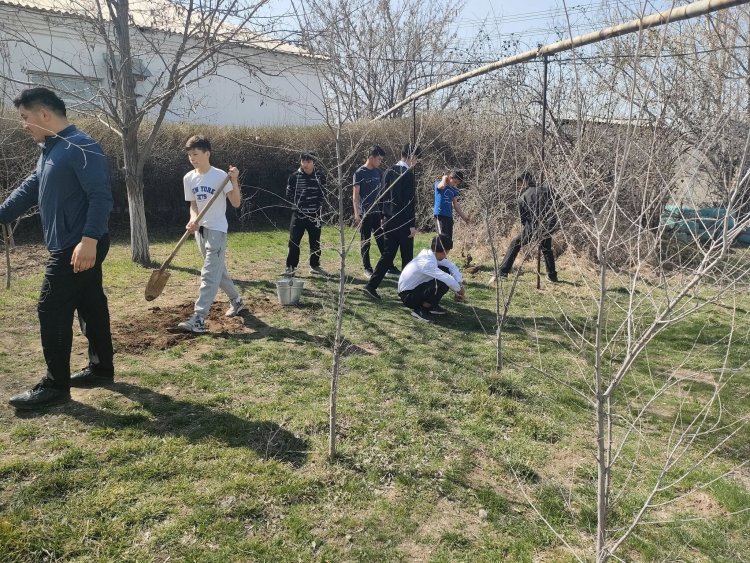 "Жаңару күні" тал егу шарасы өтті